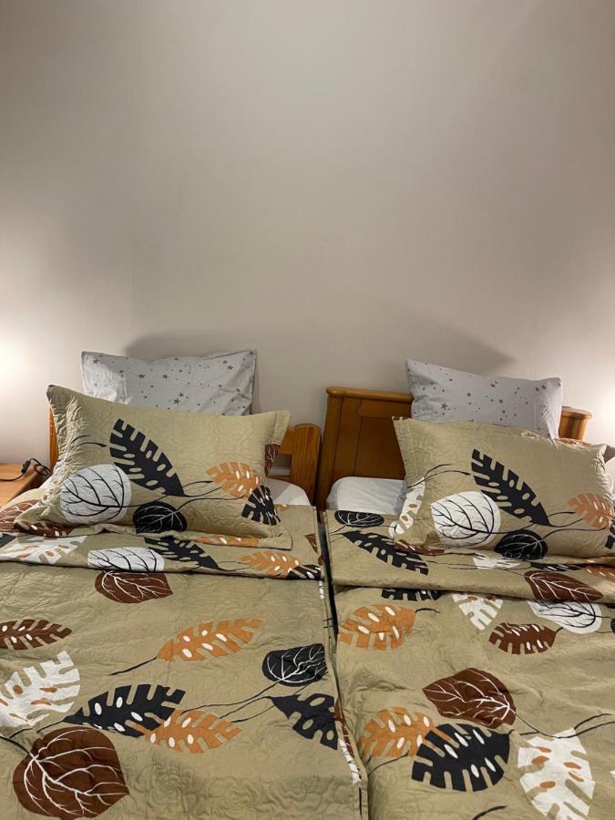 Appartement 3 Pieces Pour 1 A 5 Voyageurs Rillieux-la-Pape Eksteriør billede